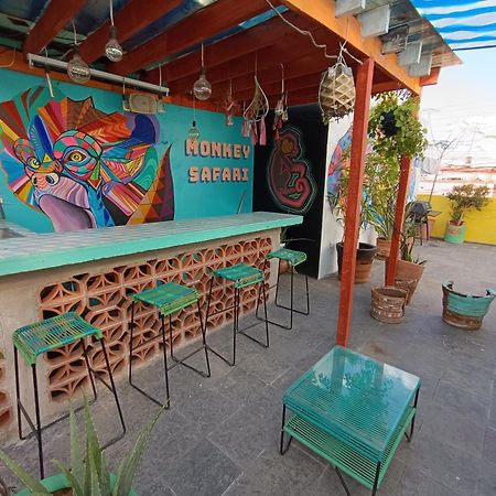 Monkey Safari Hostel Querétaro Extérieur photo