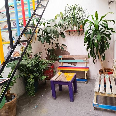 Monkey Safari Hostel Querétaro Extérieur photo