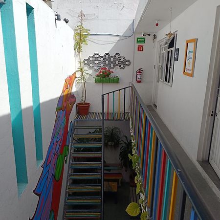 Monkey Safari Hostel Querétaro Extérieur photo