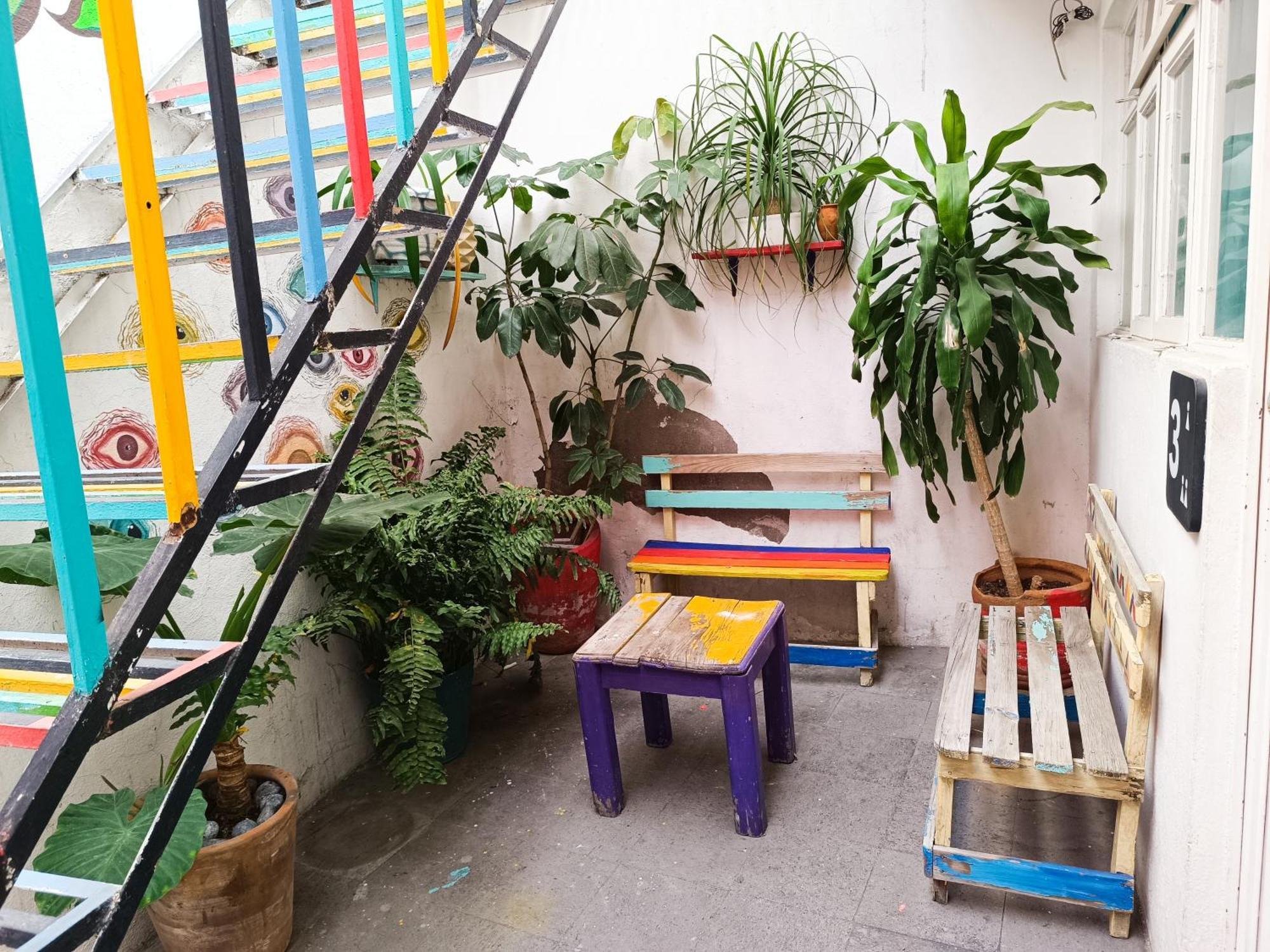 Monkey Safari Hostel Querétaro Extérieur photo