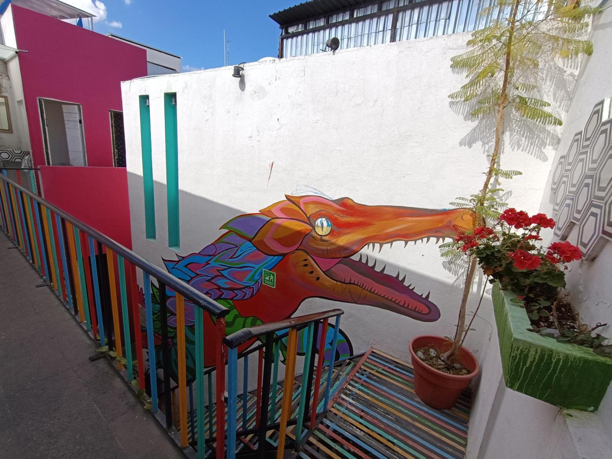 Monkey Safari Hostel Querétaro Extérieur photo