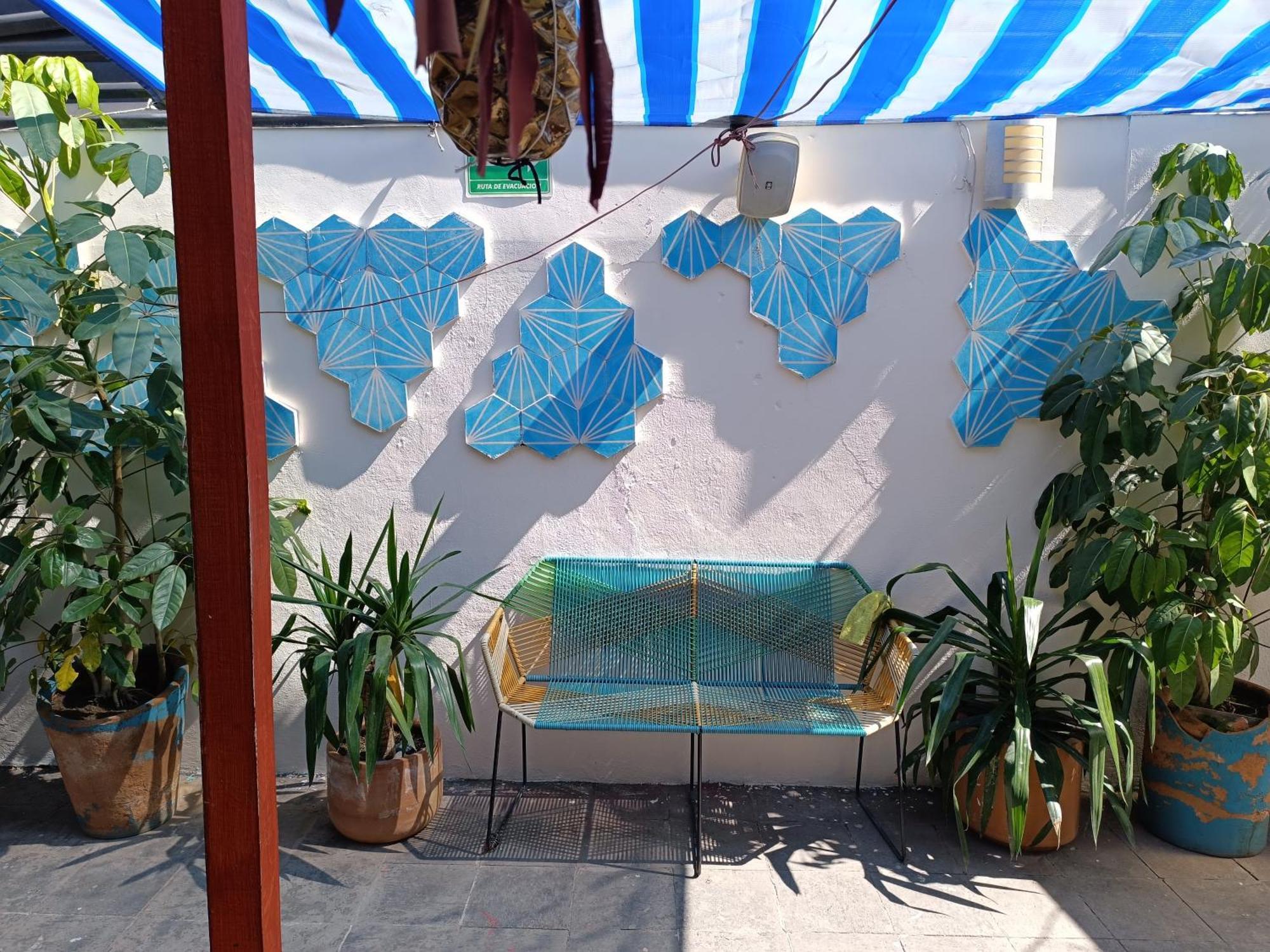 Monkey Safari Hostel Querétaro Extérieur photo