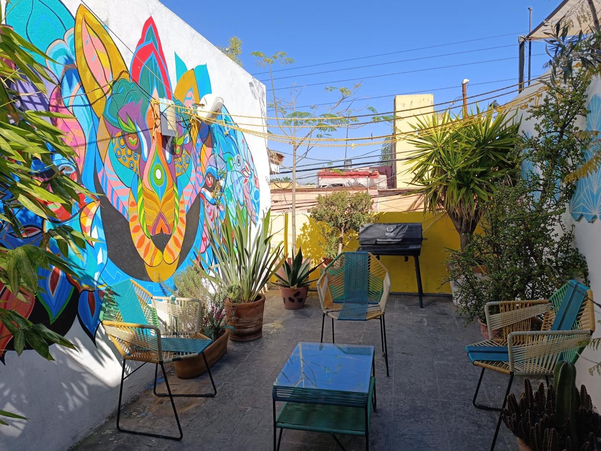 Monkey Safari Hostel Querétaro Extérieur photo