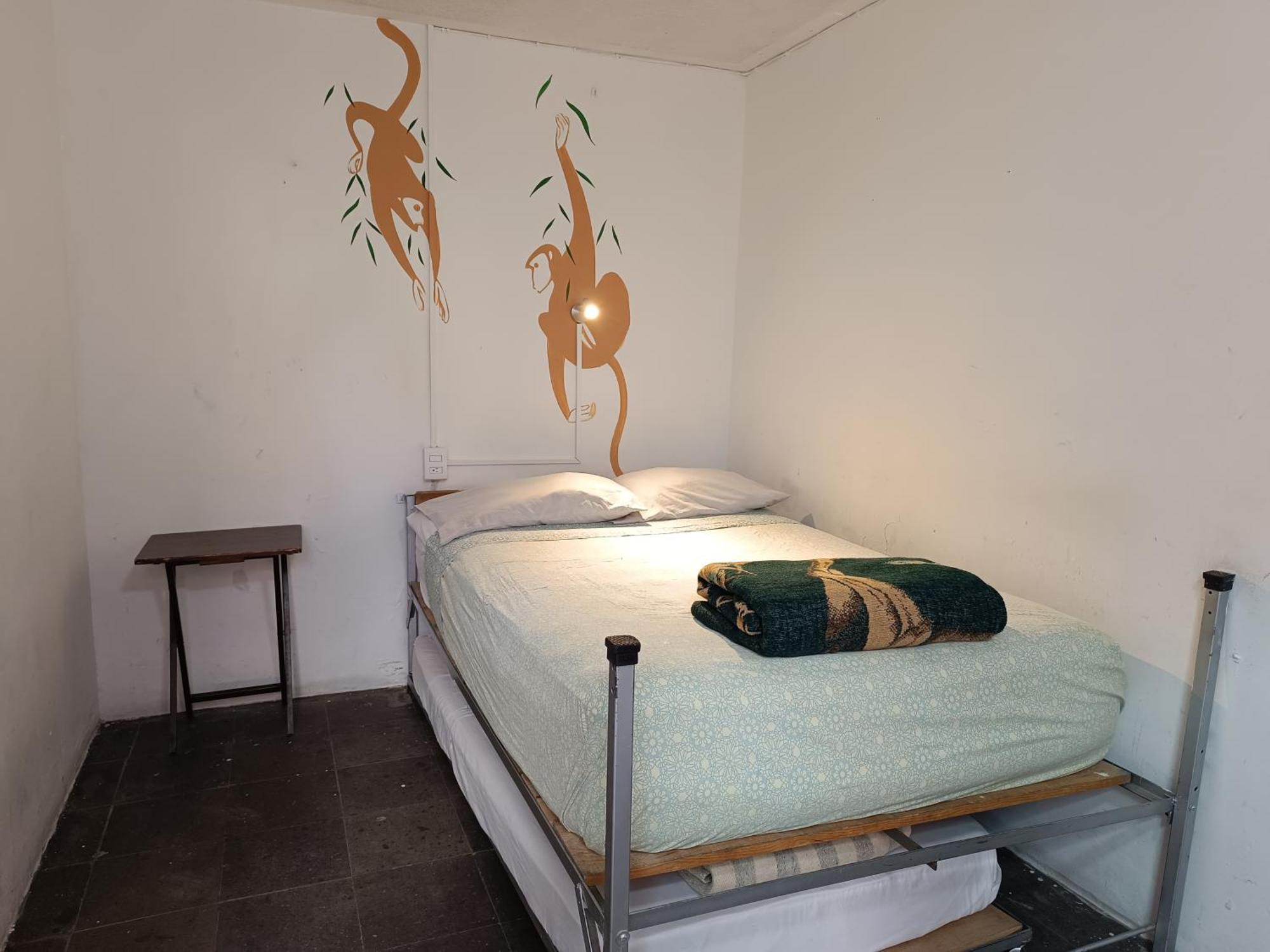 Monkey Safari Hostel Querétaro Extérieur photo