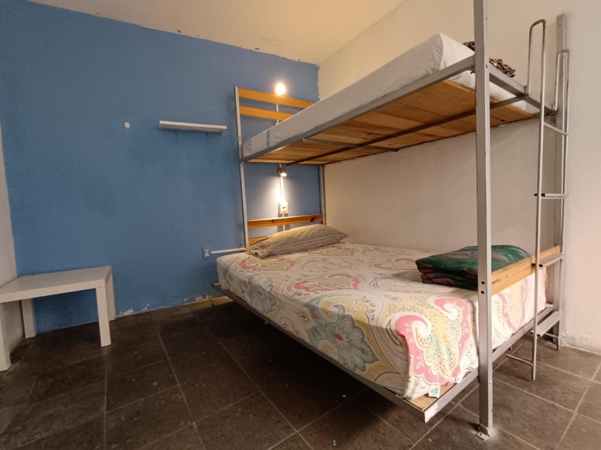 Monkey Safari Hostel Querétaro Extérieur photo