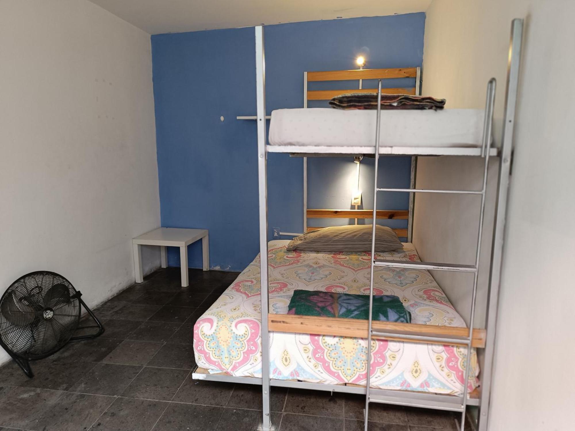 Monkey Safari Hostel Querétaro Extérieur photo