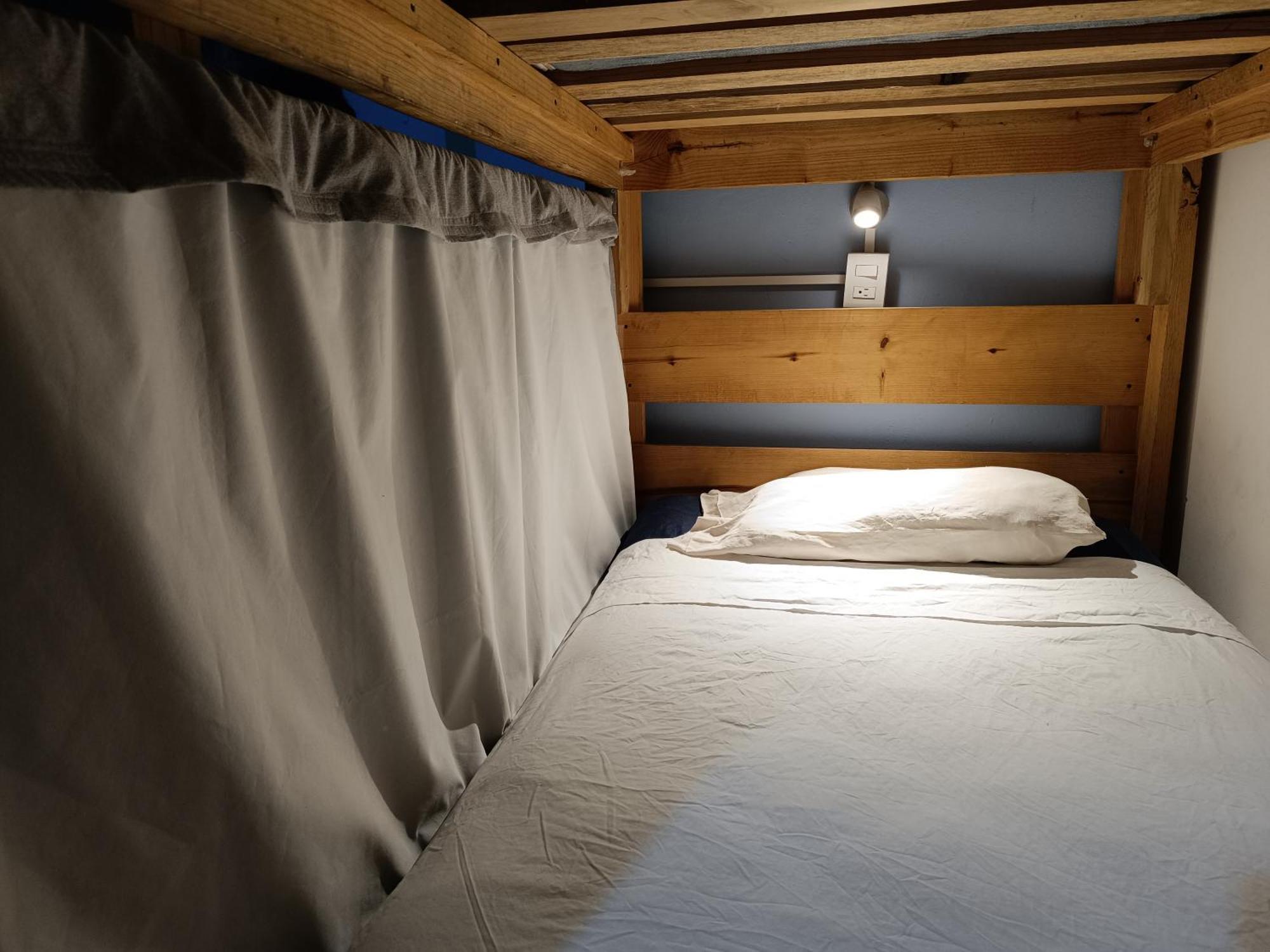 Monkey Safari Hostel Querétaro Extérieur photo