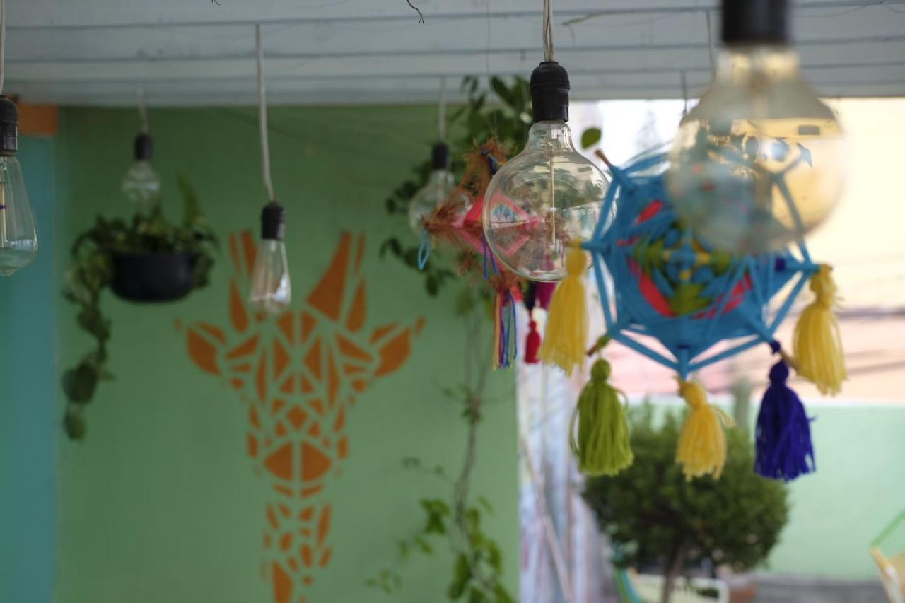 Monkey Safari Hostel Querétaro Extérieur photo