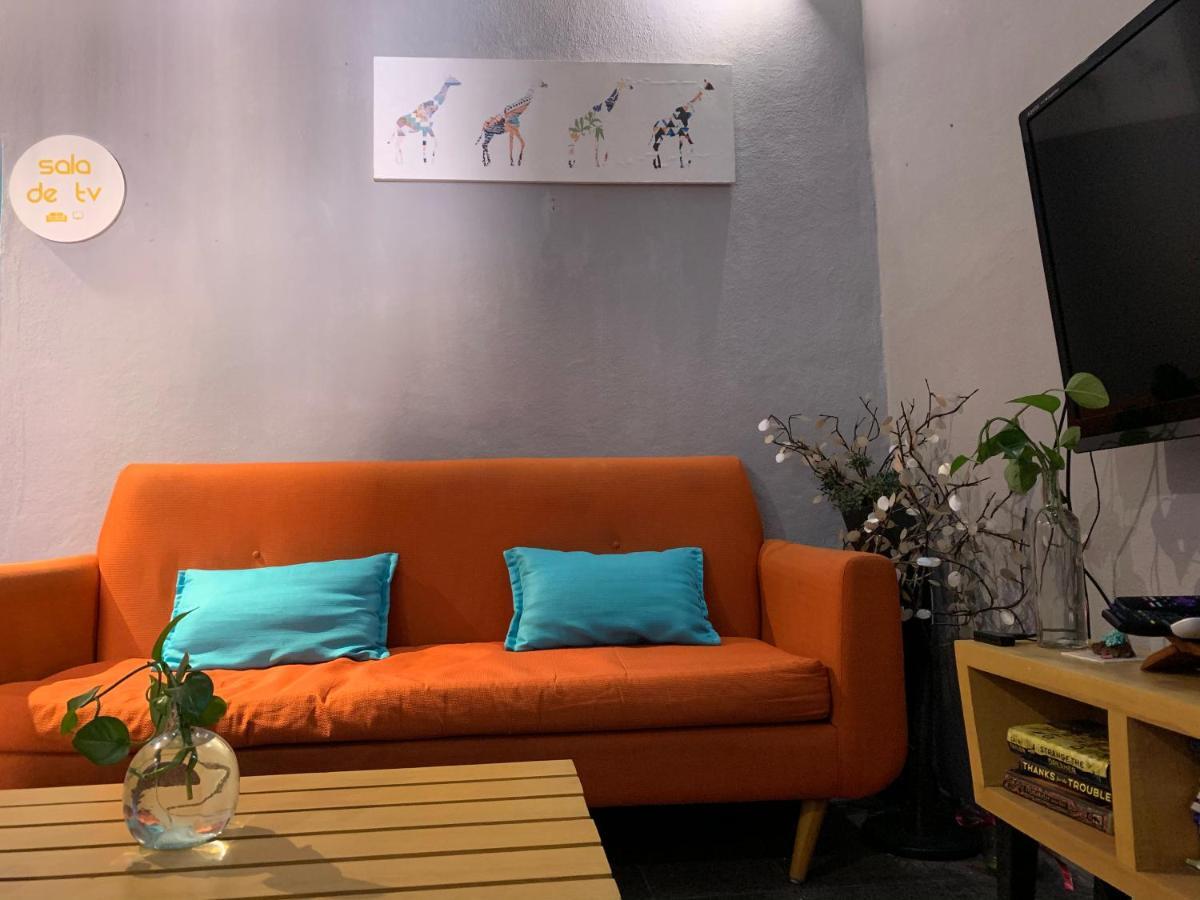 Monkey Safari Hostel Querétaro Extérieur photo