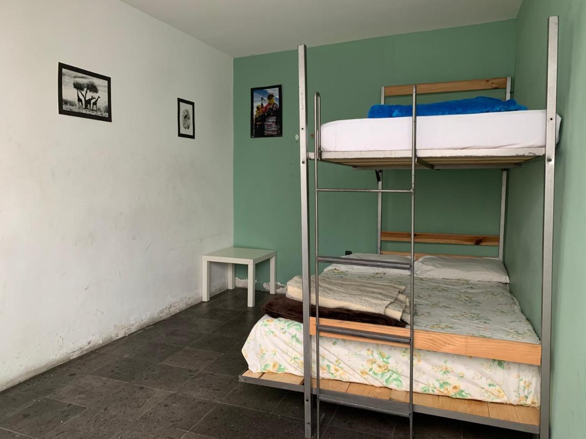 Monkey Safari Hostel Querétaro Extérieur photo